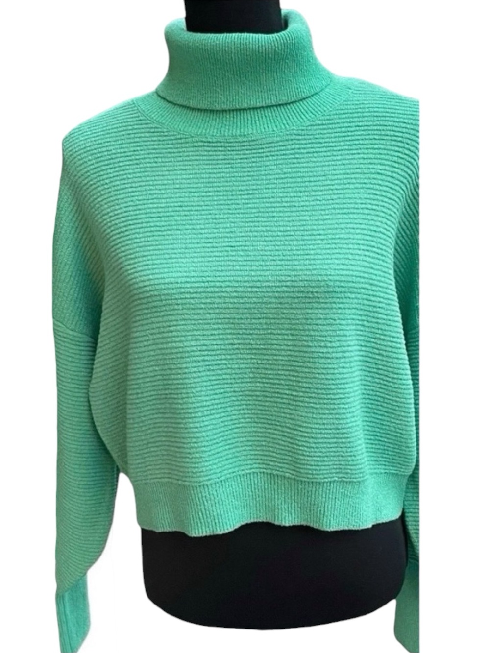 Design Lab Lord & Taylor Green Ribbed Crop Turtleneck Sweater (M)